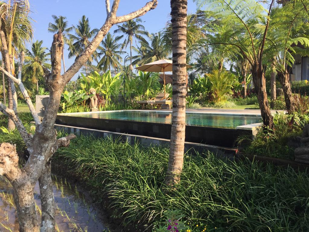 The Suris Ubud Dış mekan fotoğraf